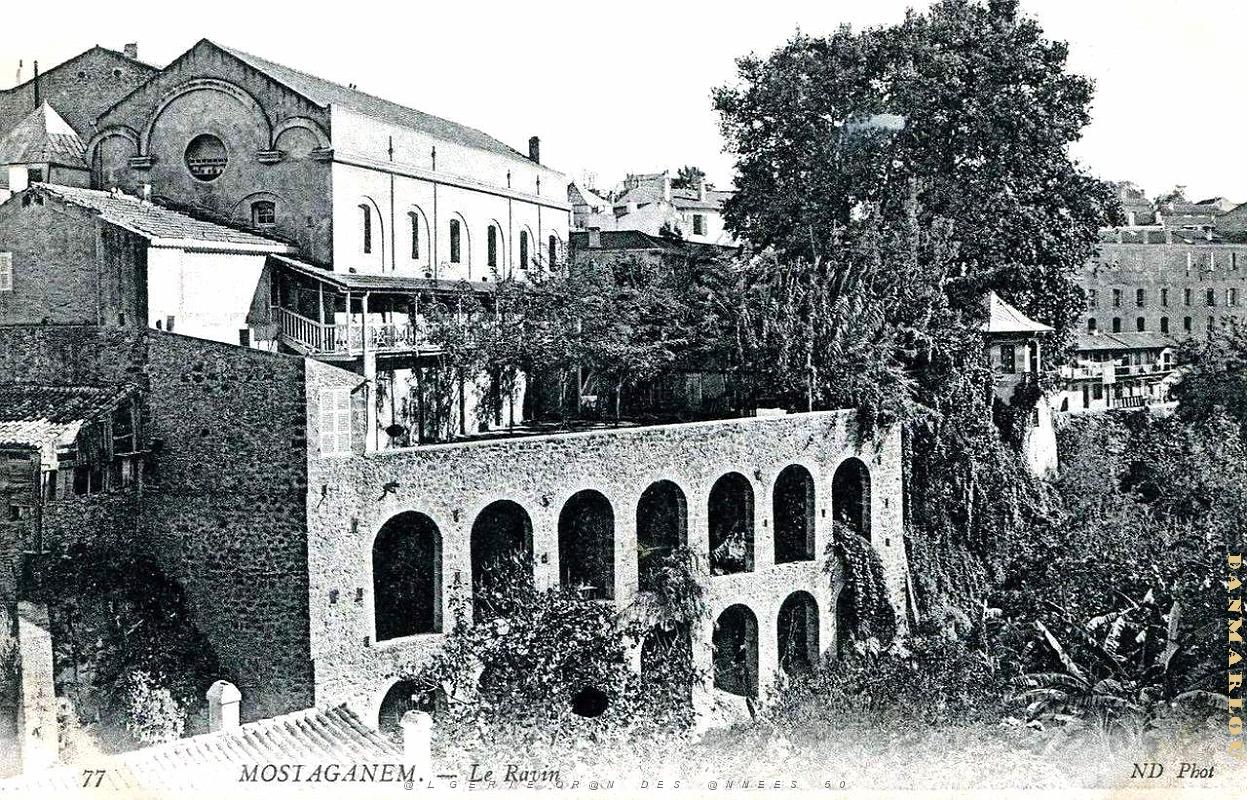 Mostaganem 508.jpg